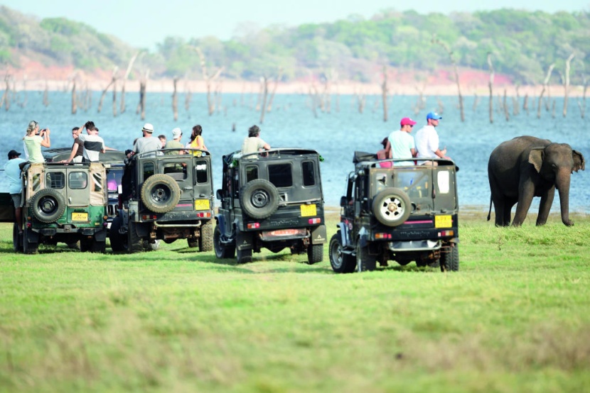 اصطفاف من أجل فيل