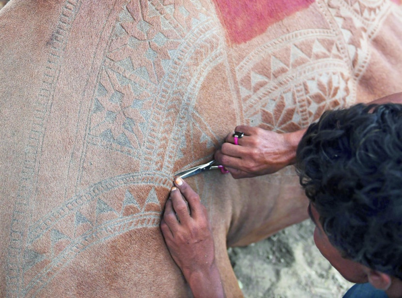 عامل يزين جلد الإبل في إحدى أسواق كراتشي