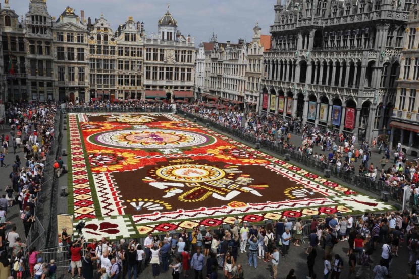 سجادة زهور زاهية تأسر الأنظار في وسط بروكسل رغم حرارة الصيف