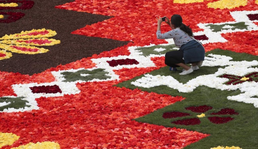 سجادة زهور زاهية تأسر الأنظار في وسط بروكسل رغم حرارة الصيف
