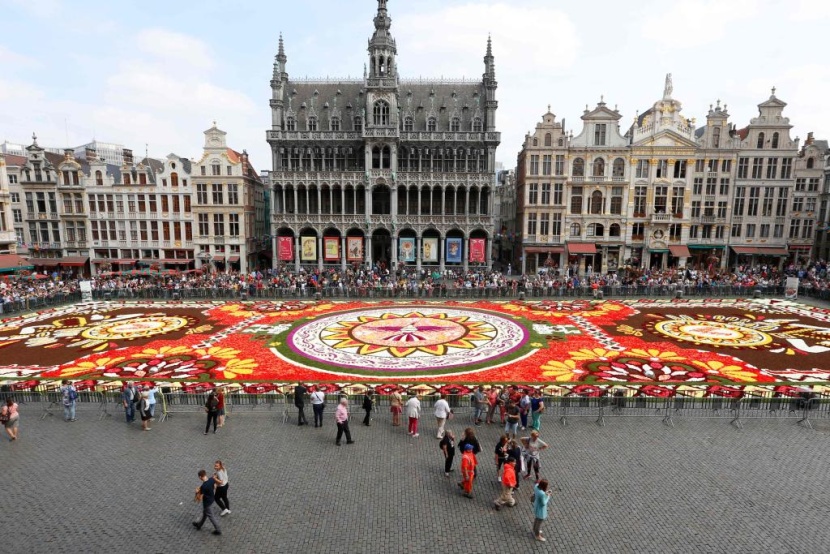 سجادة زهور زاهية تأسر الأنظار في وسط بروكسل رغم حرارة الصيف