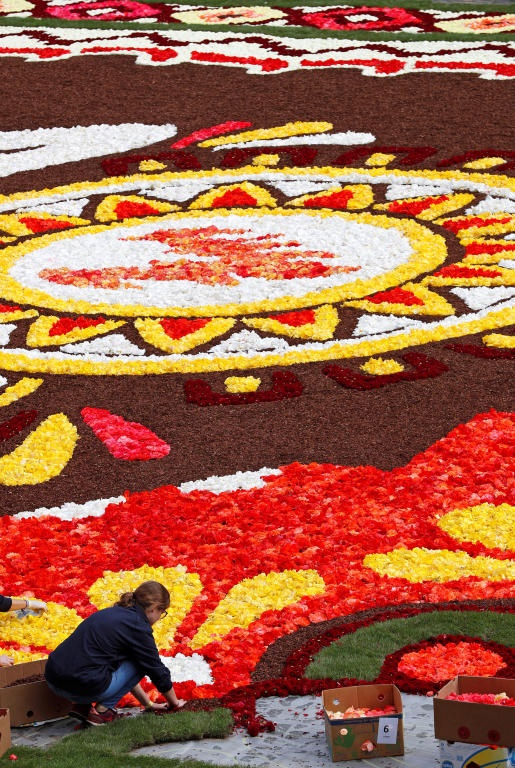سجادة زهور زاهية تأسر الأنظار في وسط بروكسل رغم حرارة الصيف