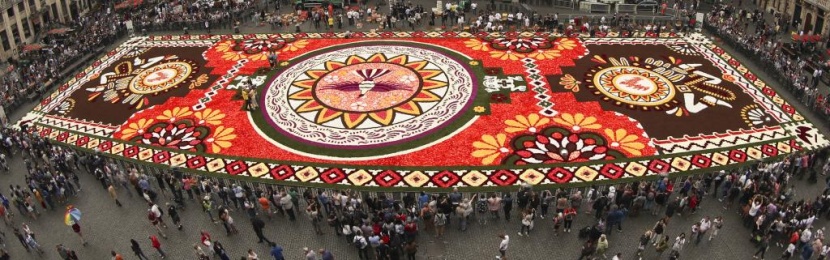 سجادة زهور زاهية تأسر الأنظار في وسط بروكسل رغم حرارة الصيف
