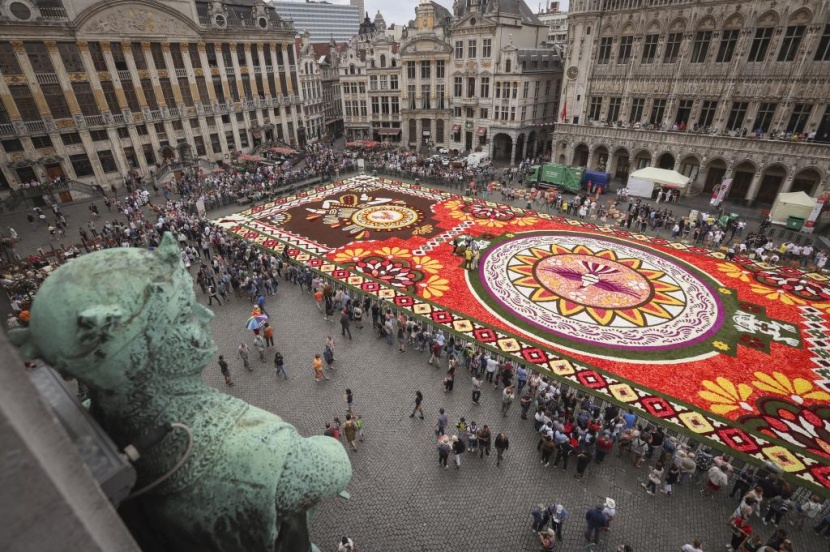 سجادة زهور زاهية تأسر الأنظار في وسط بروكسل رغم حرارة الصيف