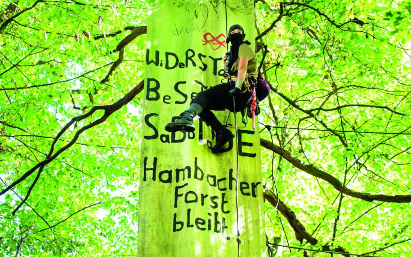 ناشطة بيئية تعلق لافتة كتب عليها "مقاومة التخريب لغابات هامباخر"