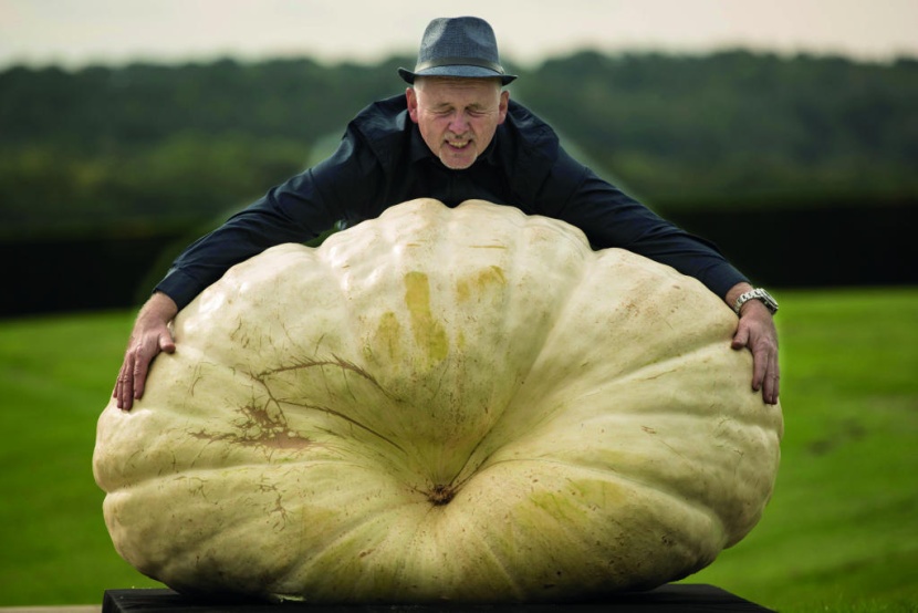 المزارع جيرمان بارات في صورة مع يقطينة يبلغ وزنها 319 كيلوجراما