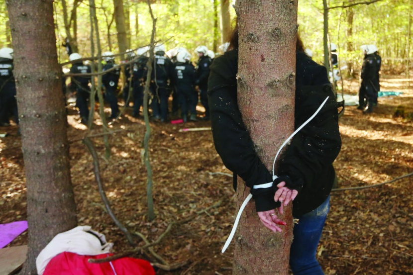 ناشط بيئي يقيد نفسه على شجرة احتجاجا على إزالة الشرطة غابة هامباخ غربي ألمانيا