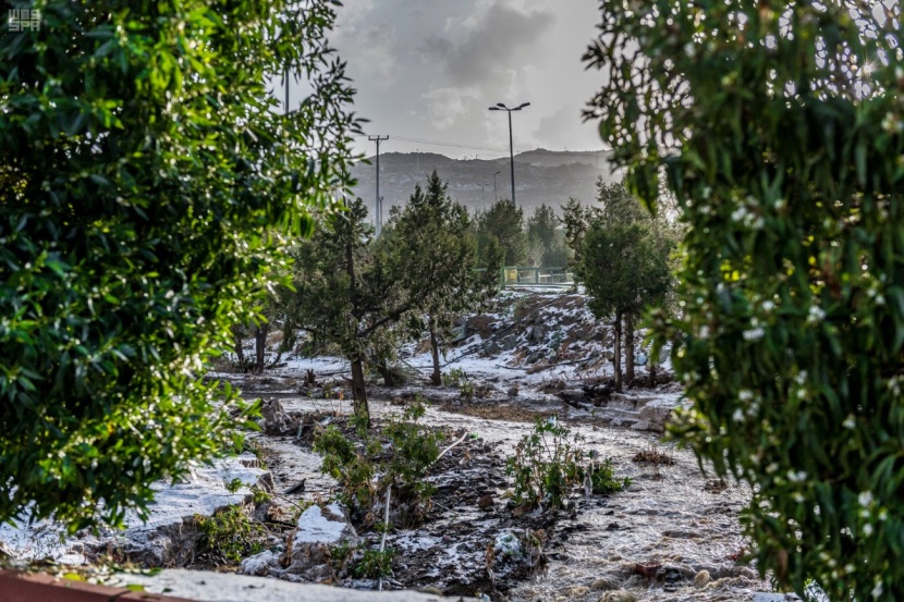 أمطار على منطقة الباحة