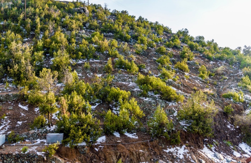 أمطار على منطقة الباحة