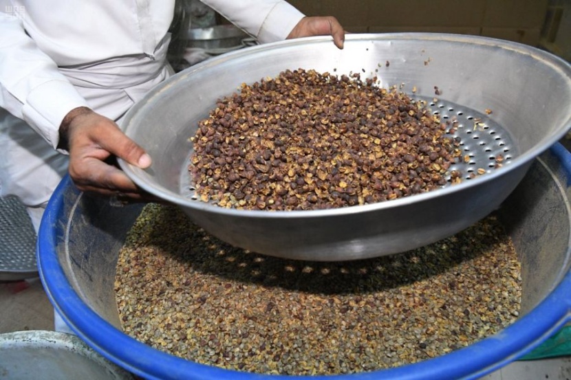  أشجار البن في الدائر ... عشق زراعة واستثمار محصول