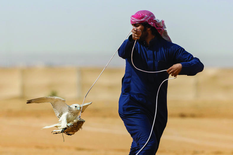 سباق الصقور