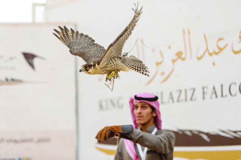 مهرجان الصقور .. صون الهوية الثقافية وتعزيز الهواية التاريخية