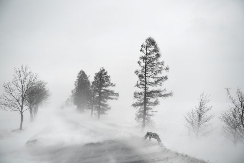 موجة من الثلوج الكثيفة في قلب أوروبا