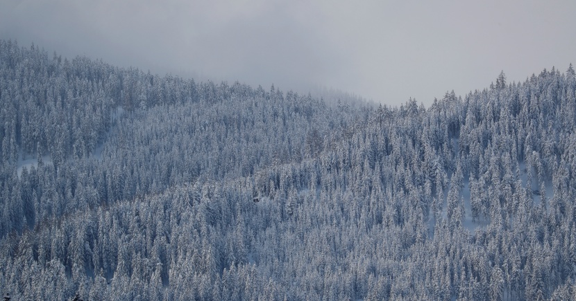 موجة من الثلوج الكثيفة في قلب أوروبا