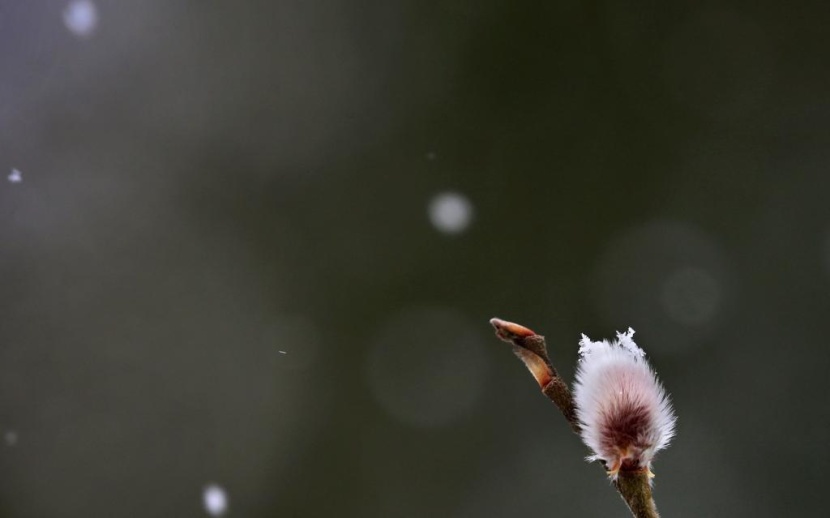 الثلوج الكثيفة تغطي القارة العجوز