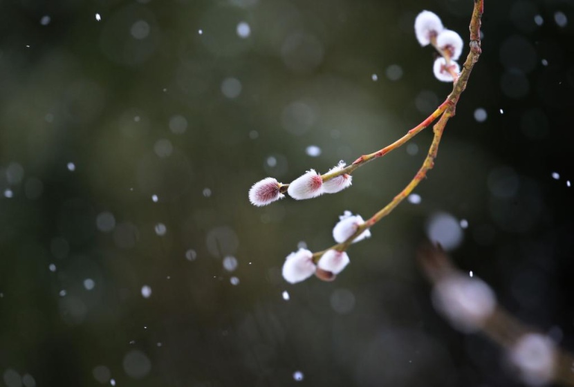 الثلوج الكثيفة تغطي القارة العجوز