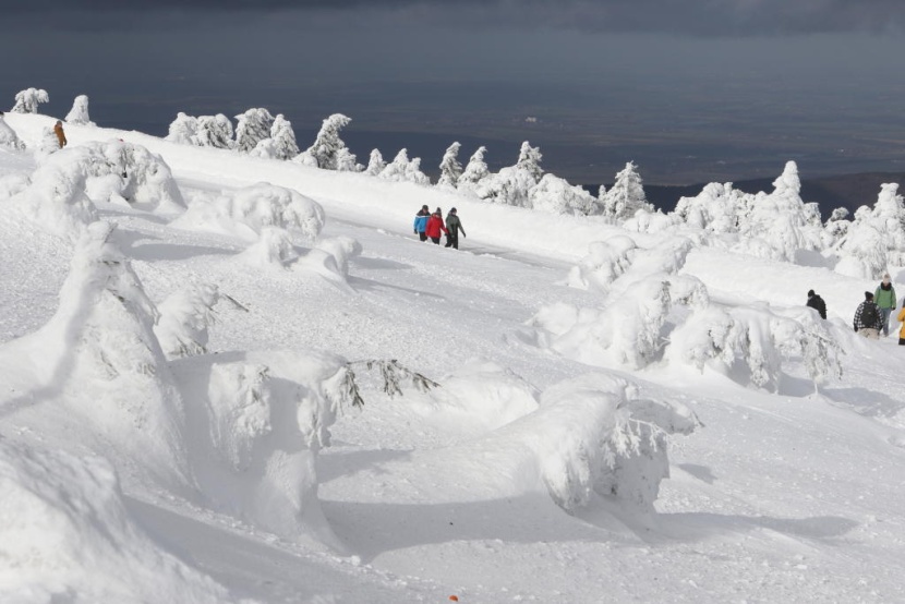 الثلوج الكثيفة تغطي القارة العجوز