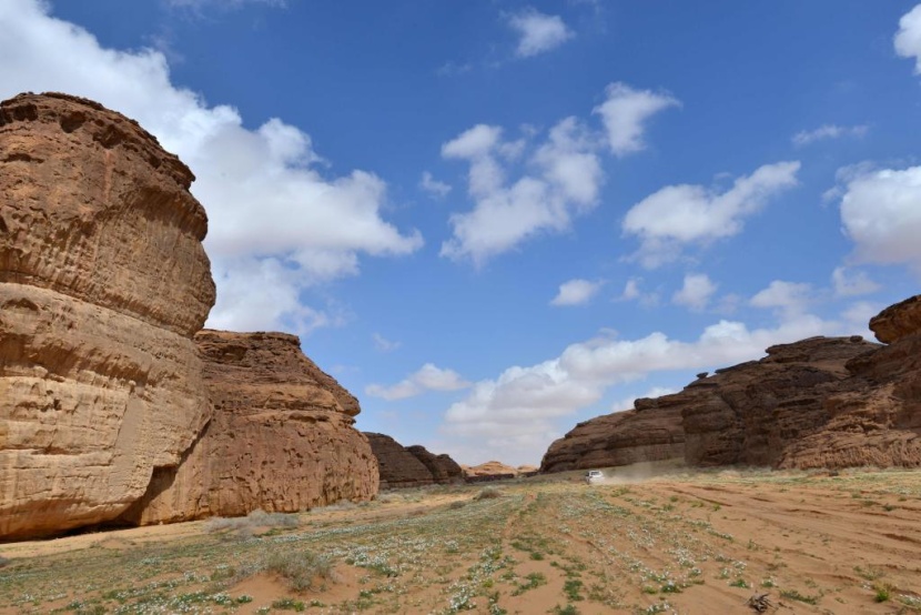 محمية شرعان.. تمازج الطبيعة والتاريخ