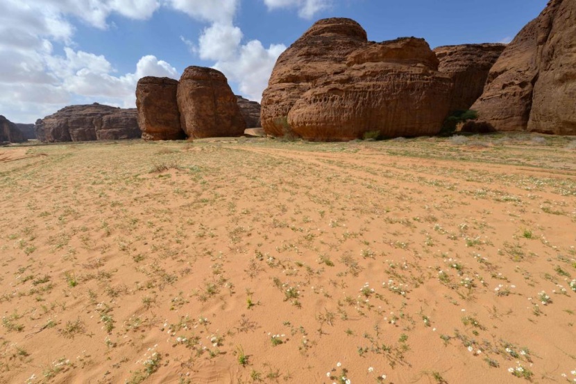 محمية شرعان.. تمازج الطبيعة والتاريخ