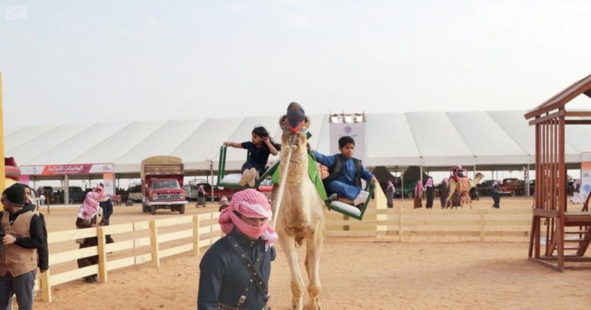12 عرضا لهجانة عمان في مهرجان الملك عبدالعزيز للإبل