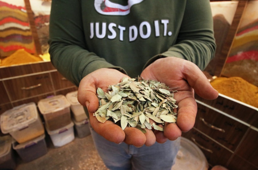 مزارع "الحناء" في شبه جزيرة الفاو العراقية مخضبة بـ "الجفاف"