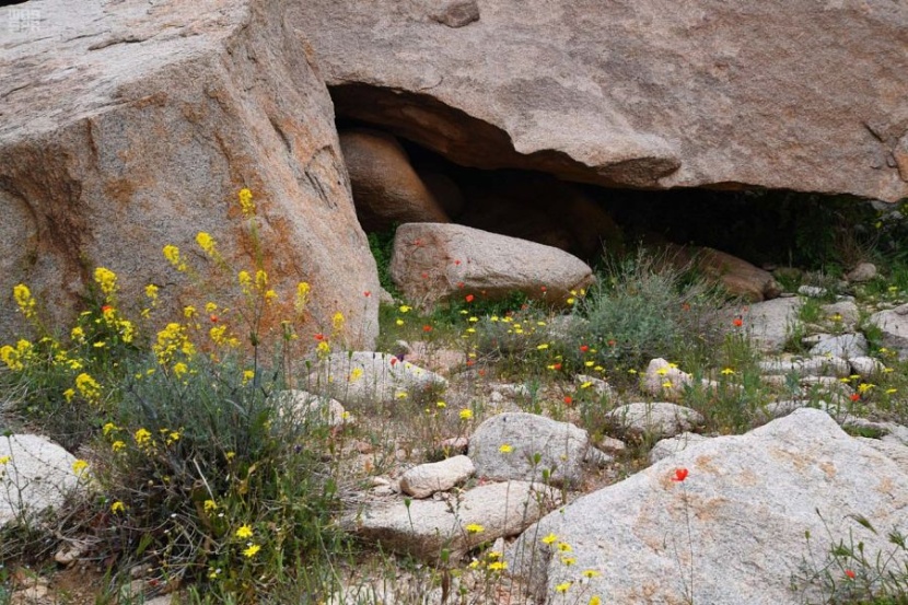 جبال اللوز تودع الشتاء إيذانا بدخول فصل الربيع