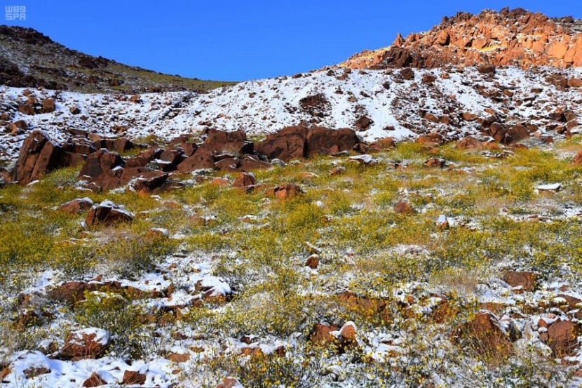جبال اللوز تودع الشتاء إيذانا بدخول فصل الربيع