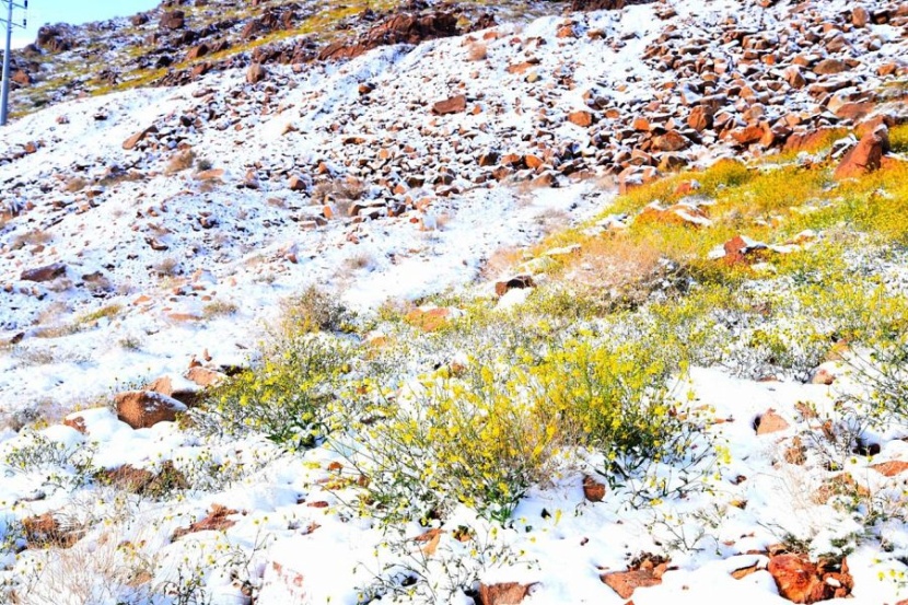 جبال اللوز تودع الشتاء إيذانا بدخول فصل الربيع