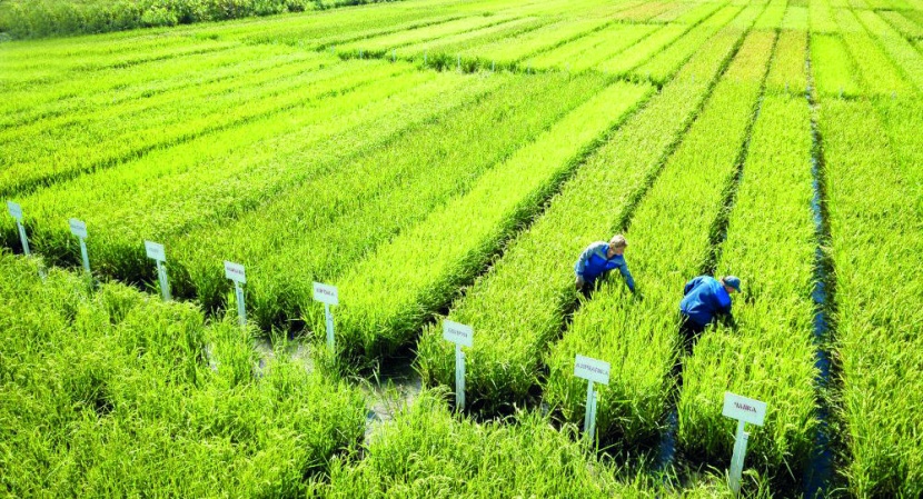 سيطرة الإنترنت .. "الجيل الخامس" سيتحكم فيما نأكله ونشربه