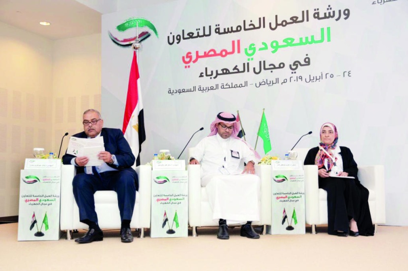 ورشة عمل سعودية - مصرية لتطوير الربط الكهربائي وكفاءة الطاقة