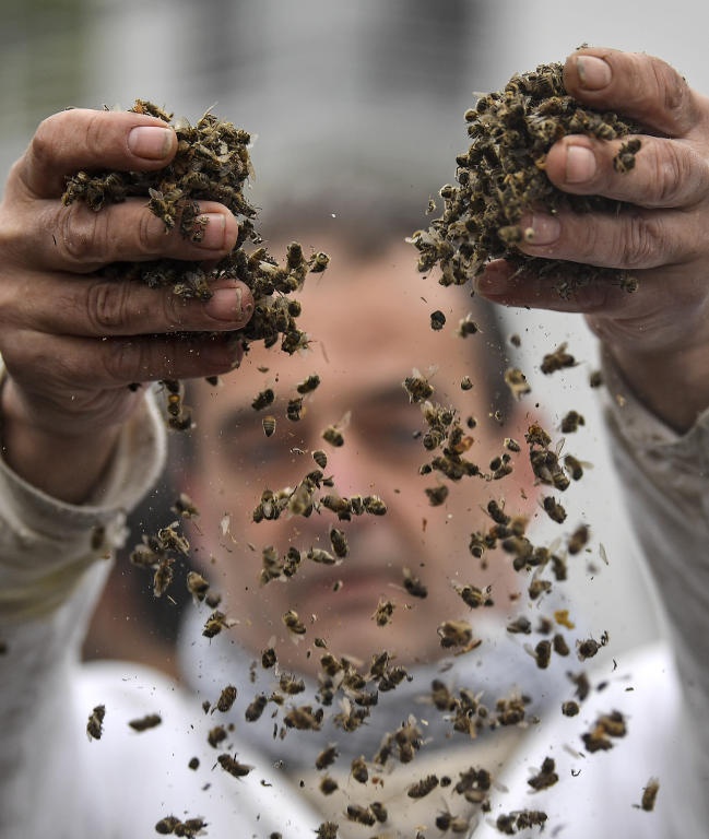  دعاوى مرضى السرطان تهوي بأسهم شركة باير الألمانية 40 % 