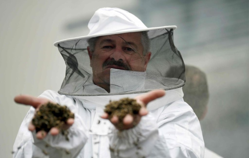  دعاوى مرضى السرطان تهوي بأسهم شركة باير الألمانية 40 % 