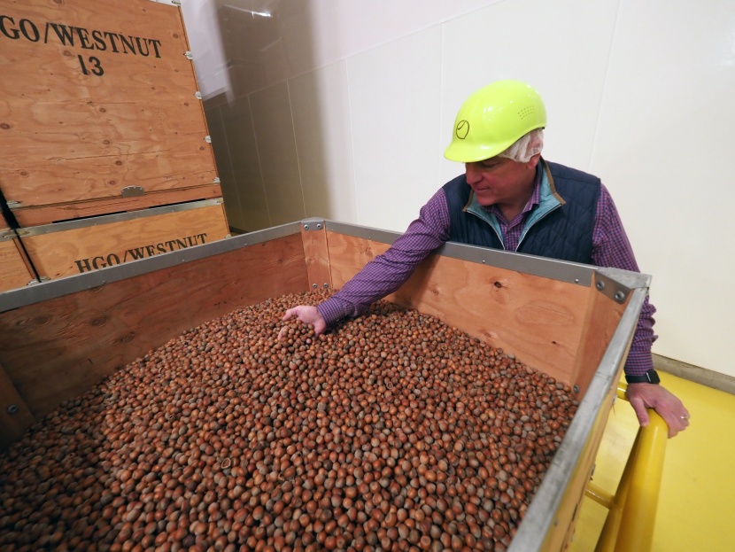 أسعار البندق العالمية.. أحدث ضحايا النزاع التجاري بين الصين والولايات المتحدة