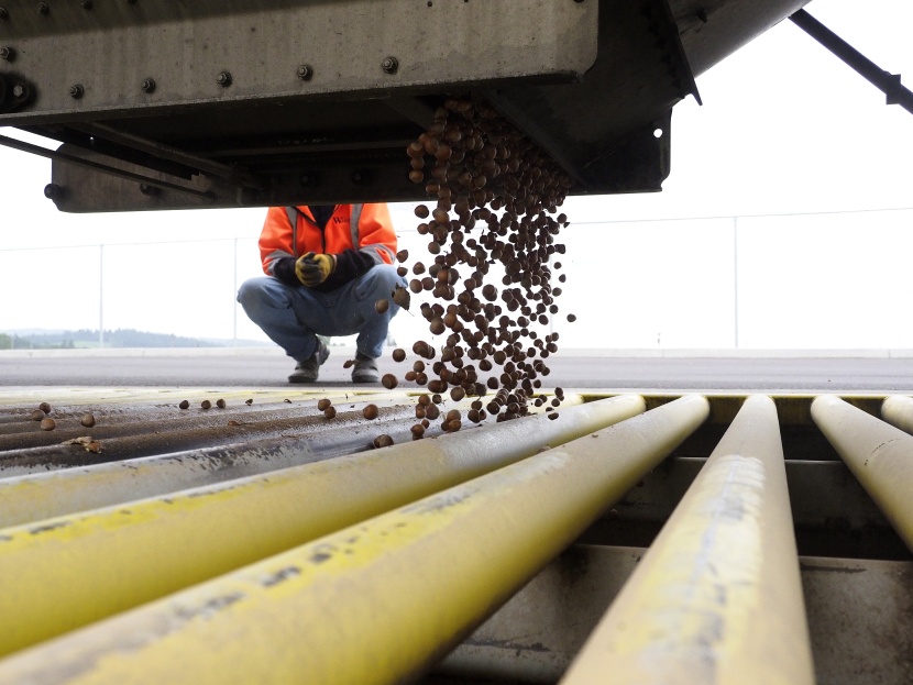 أسعار البندق العالمية.. أحدث ضحايا النزاع التجاري بين الصين والولايات المتحدة