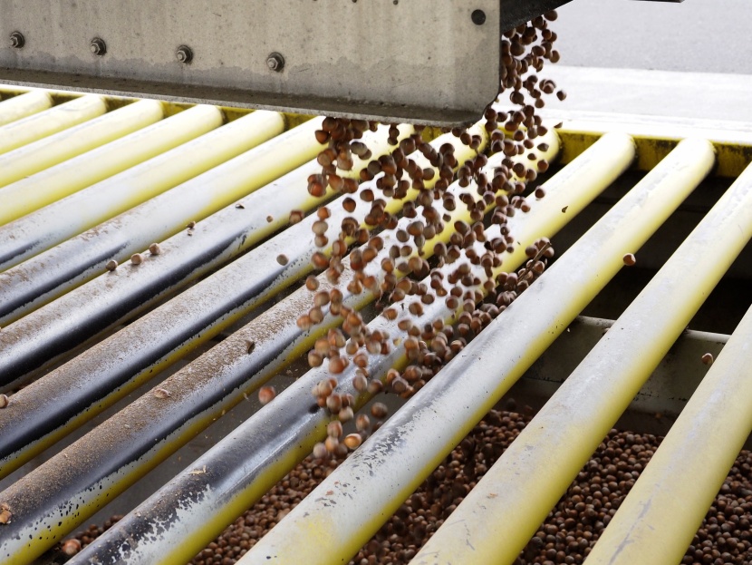 أسعار البندق العالمية.. أحدث ضحايا النزاع التجاري بين الصين والولايات المتحدة