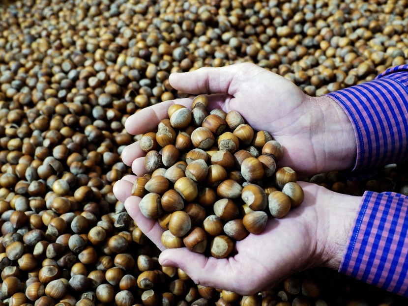 أسعار البندق العالمية.. أحدث ضحايا النزاع التجاري بين الصين والولايات المتحدة