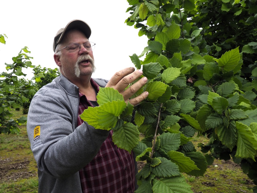 أسعار البندق العالمية.. أحدث ضحايا النزاع التجاري بين الصين والولايات المتحدة