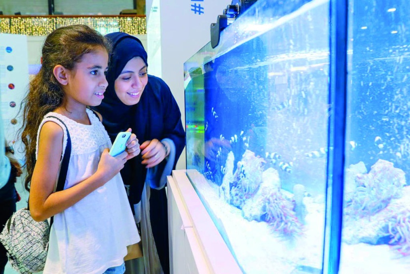 معرض عن البحر الأحمر في «موسم جدة»