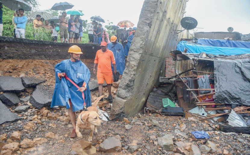 بحث عن ناجين