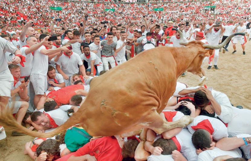 ثور غاضب يقفز على المشاركين في حلبة مصارعة الثيران في مهرجان سان فيرمين في بامبلونا