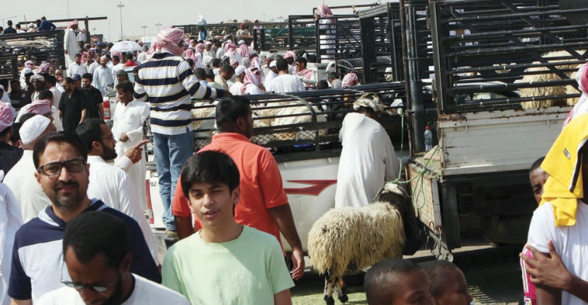 أبناء يزاحمون آباءهم لشراء أضحية العيد .. وتربويون: إحياء للشعيرة