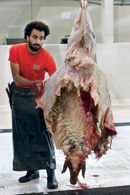 شبيه صلاح.. جزار