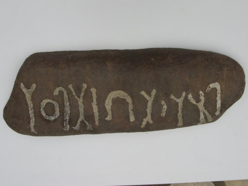 «السياحة» تستعيد قطعة أثرية 
من فرنسا نقلها وافد قبل 40 عاما