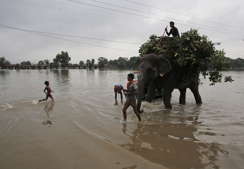 فيضانات الهند