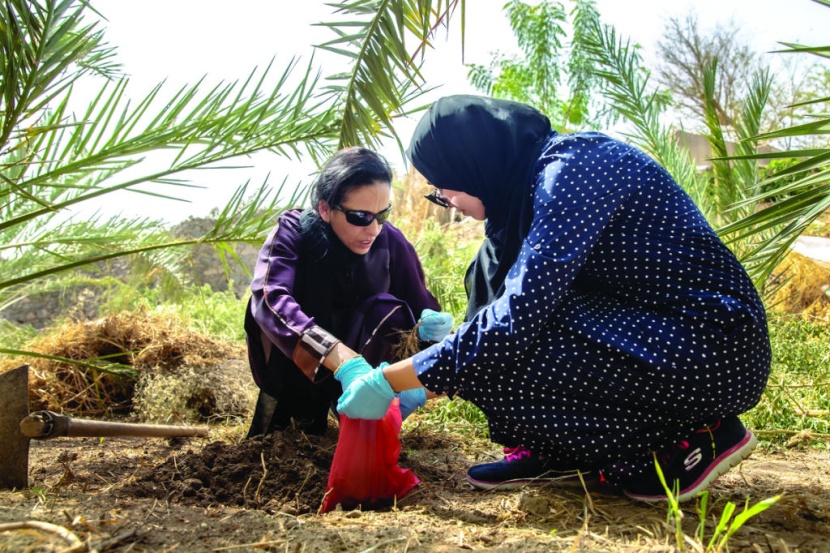 بحث جديد من "كاوست" لزيادة الإنتاج العالمي للتمور