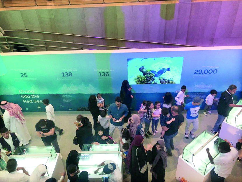 "كاوست" في "إثراء" .. أسماك قرش وشعاب لا تنقرض