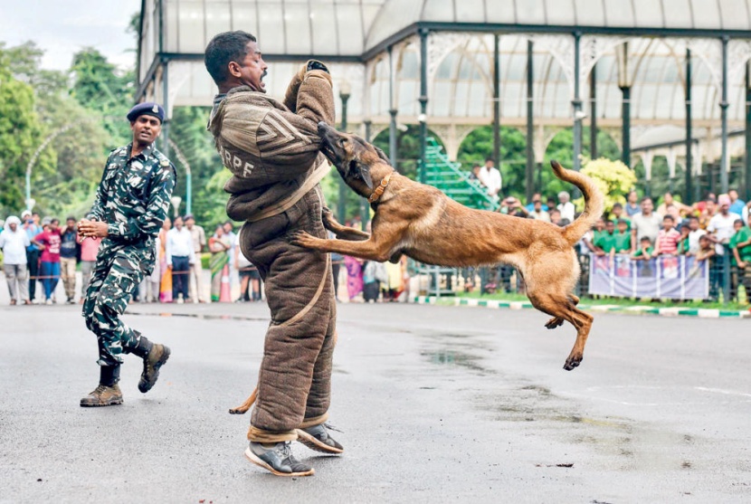 مهارات مكافحة الجريمة