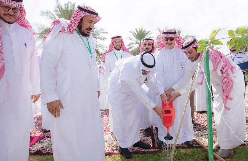 تحقيقا لأهداف برنامج التحول الوطني .. انطلاق حملات التشجير في المملكة