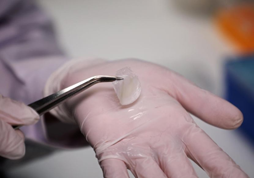 صناعة الجلد