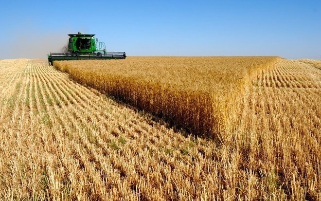 "الحبوب" تطرح مناقصة لاستيراد مليون طن من العلف .. الأخيرة في 2019